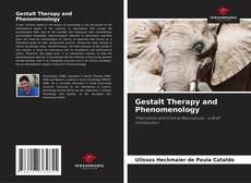 Couverture de Gestalt Therapy and Phenomenology