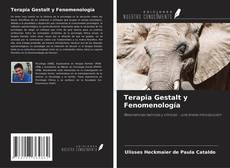 Copertina di Terapia Gestalt y Fenomenología