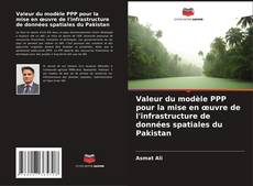 Buchcover von Valeur du modèle PPP pour la mise en œuvre de l'infrastructure de données spatiales du Pakistan