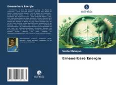 Capa do livro de Erneuerbare Energie 
