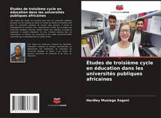 Études de troisième cycle en éducation dans les universités publiques africaines kitap kapağı