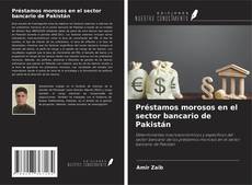 Bookcover of Préstamos morosos en el sector bancario de Pakistán