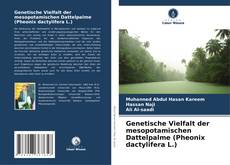 Bookcover of Genetische Vielfalt der mesopotamischen Dattelpalme (Pheonix dactylifera L.)
