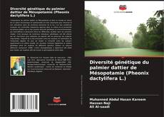Diversité génétique du palmier dattier de Mésopotamie (Pheonix dactylifera L.)的封面