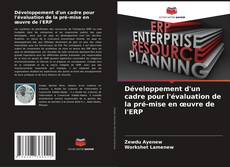Capa do livro de Développement d'un cadre pour l'évaluation de la pré-mise en œuvre de l'ERP 