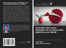 Bookcover of Actividad del nuevo inhibidor de la cinasa BCR IQS019 en el LNH-B