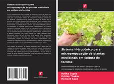 Copertina di Sistema hidropónico para micropropagação de plantas medicinais em cultura de tecidos