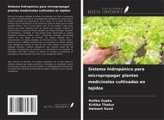 Capa do livro de Sistema hidropónico para micropropagar plantas medicinales cultivadas en tejidos 