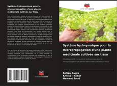 Couverture de Système hydroponique pour la micropropagation d'une plante médicinale cultivée sur tissu