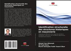 Buchcover von Identification structurelle des structures historiques en maçonnerie