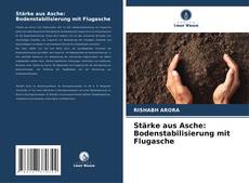 Bookcover of Stärke aus Asche: Bodenstabilisierung mit Flugasche