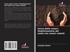 Bookcover of Forza dalle ceneri: Stabilizzazione del suolo con ceneri volanti