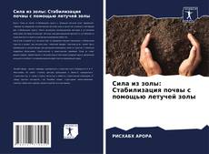 Bookcover of Сила из золы: Стабилизация почвы с помощью летучей золы