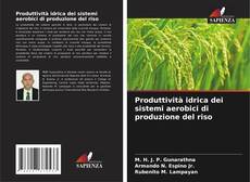 Capa do livro de Produttività idrica dei sistemi aerobici di produzione del riso 