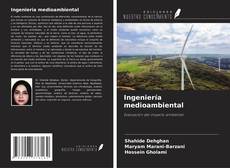 Ingeniería medioambiental kitap kapağı