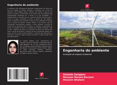 Bookcover of Engenharia do ambiente