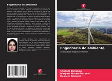 Borítókép a  Engenharia do ambiente - hoz