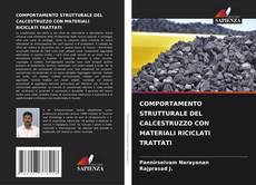 COMPORTAMENTO STRUTTURALE DEL CALCESTRUZZO CON MATERIALI RICICLATI TRATTATI的封面