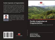 Buchcover von Forêts tropicales et fragmentation