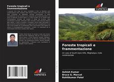 Buchcover von Foreste tropicali e frammentazione