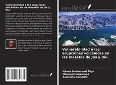 Buchcover von Vulnerabilidad a las erupciones volcánicas en las mesetas de Jos y Biu