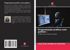 Copertina di Programação prática com python :