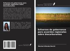 Buchcover von Esfuerzos de gobernanza para acuerdos regionales sobre biocarburantes