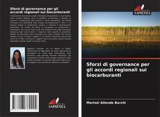 Bookcover of Sforzi di governance per gli accordi regionali sui biocarburanti