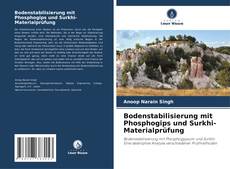 Portada del libro de Bodenstabilisierung mit Phosphogips und Surkhi-Materialprüfung