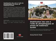 Buchcover von Stabilisation des sols à l'aide de phosphogypse et essais de matériaux Surkhi