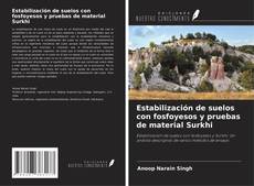 Buchcover von Estabilización de suelos con fosfoyesos y pruebas de material Surkhi