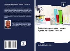 Portada del libro de Создание и описание горных кусков из оксида никеля