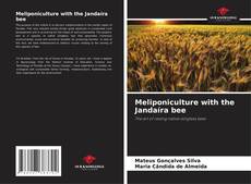 Meliponiculture with the Jandaíra bee kitap kapağı