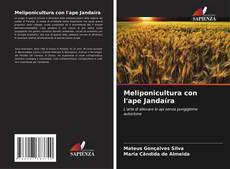 Meliponicultura con l'ape Jandaíra kitap kapağı