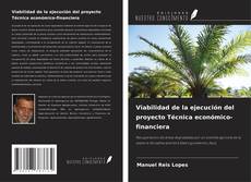 Buchcover von Viabilidad de la ejecución del proyecto Técnica económico-financiera