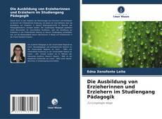 Bookcover of Die Ausbildung von Erzieherinnen und Erziehern im Studiengang Pädagogik