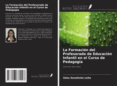 La Formación del Profesorado de Educación Infantil en el Curso de Pedagogía kitap kapağı