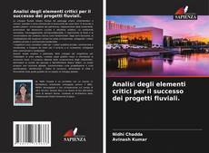 Buchcover von Analisi degli elementi critici per il successo dei progetti fluviali.