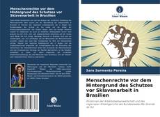 Menschenrechte vor dem Hintergrund des Schutzes vor Sklavenarbeit in Brasilien kitap kapağı