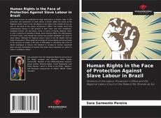 Buchcover von Human Rights in the Face of Protection Against Slave Labour in Brazil