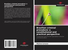 Bookcover of Brazilian criminal procedure: a constitutional and practical perspective