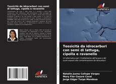 Bookcover of Tossicità da idrocarburi con semi di lattuga, cipolla e ravanello