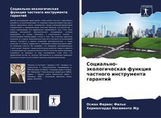 Buchcover von Социально-экологическая функция частного инструмента гарантий
