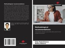 Capa do livro de Methodological recommendations 