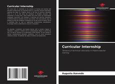 Curricular Internship kitap kapağı