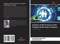 Capa do livro de Analysis of HR Turnover at the Tongaat Hulett Sugar Company 