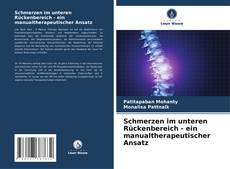 Schmerzen im unteren Rückenbereich - ein manualtherapeutischer Ansatz kitap kapağı