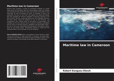 Bookcover of Maritime law in Cameroon