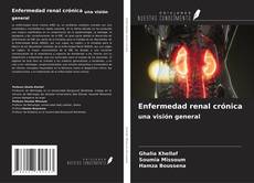 Capa do livro de Enfermedad renal crónica una visión general 