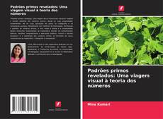 Bookcover of Padrões primos revelados: Uma viagem visual à teoria dos números